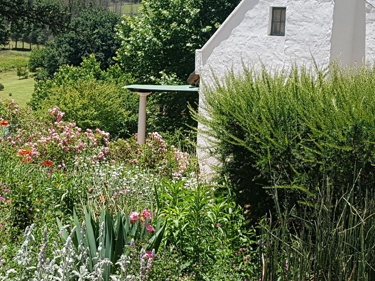Rosebury Cottage Underberg Zewnętrze zdjęcie